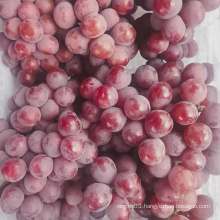 fresh fruits crimson seeded grape fresh grape for sale